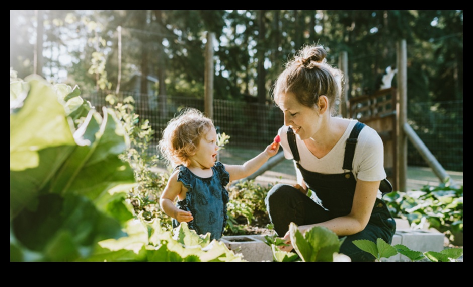 Harvest of Happiness: Essential Steps for Garden Success