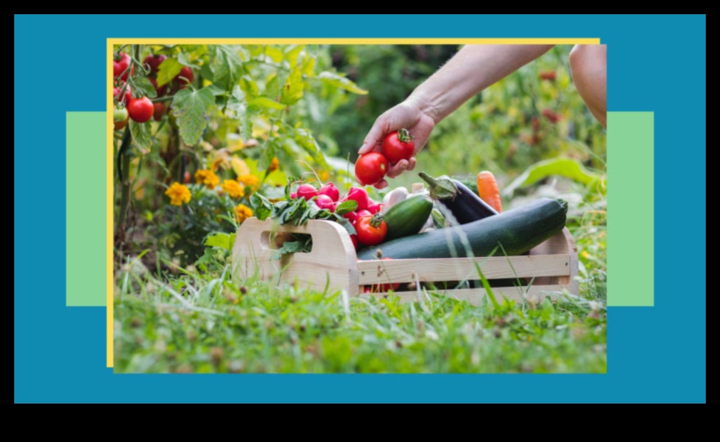 Harvesting Happiness: Upgrade Your Garden Arsenal