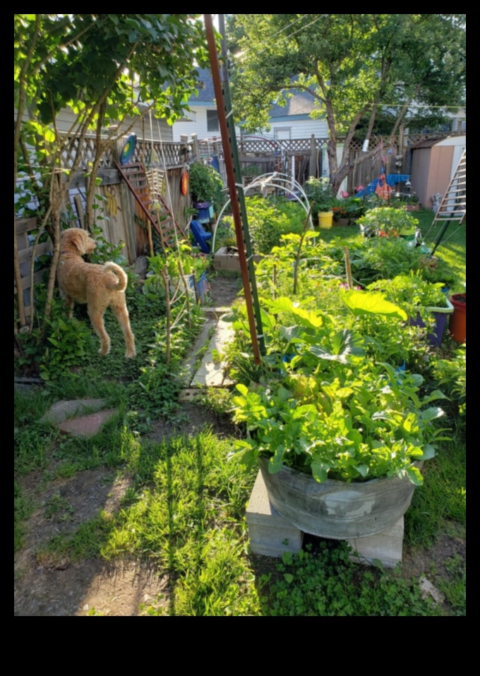 Harvesting Happiness: Upgrade Your Garden Arsenal