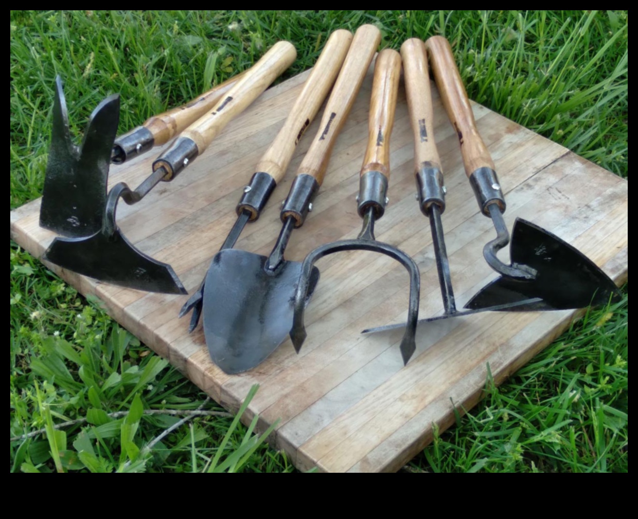 Harvesting Happiness: Upgrade Your Garden Toolkit