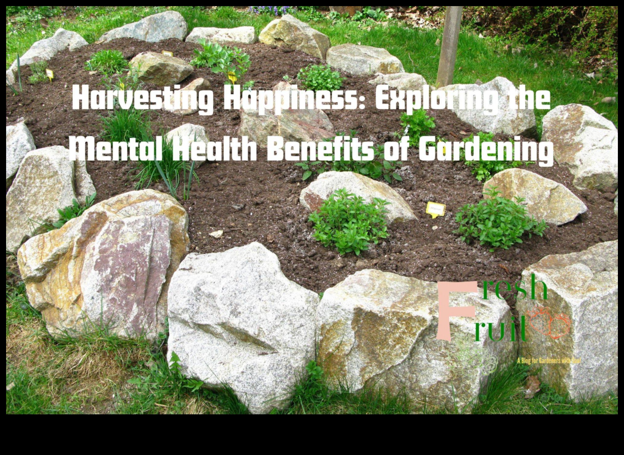 Harvesting Happiness: Cultivating Joy through Garden Care