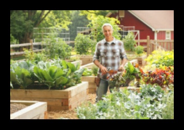 Harvesting Happiness: Cultivating Joy through Garden Care