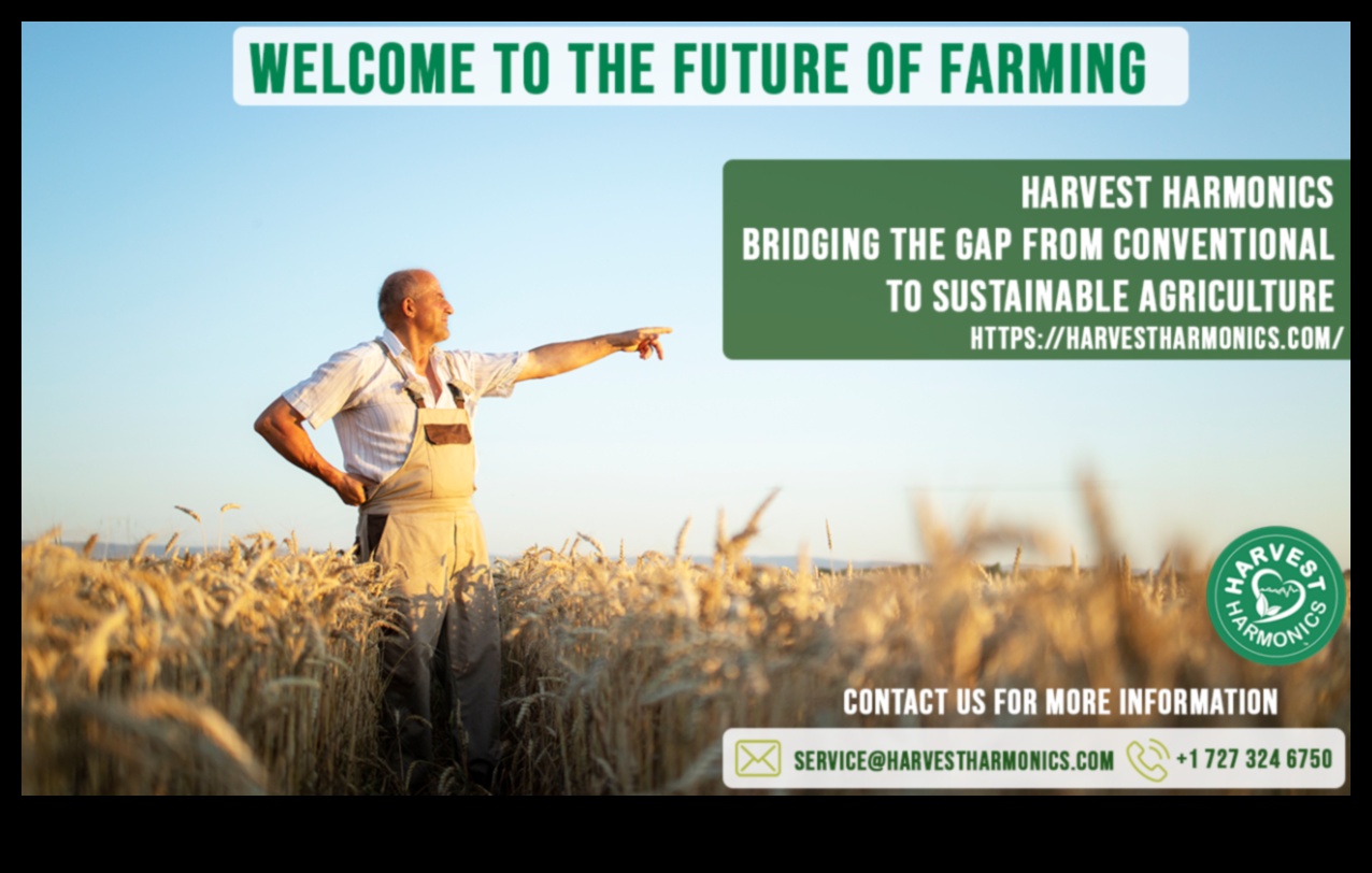 Harvest Harmony II: Continuing the Celebration of Farmland Beauty