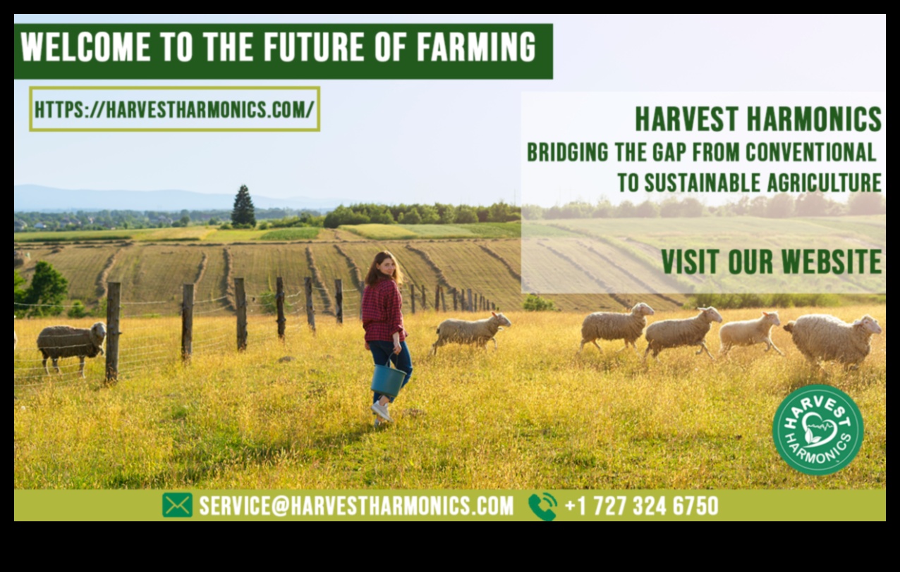 Harvest Harmony II: Continuing the Celebration of Farmland Beauty