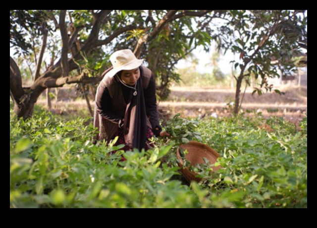Harvesting Health How Organic Gardening Can Improve Your Life 1