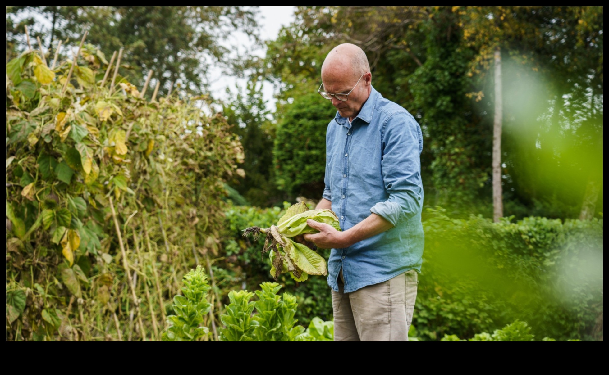 Harvesting Horticulture: Growing Gardens of Abundance
