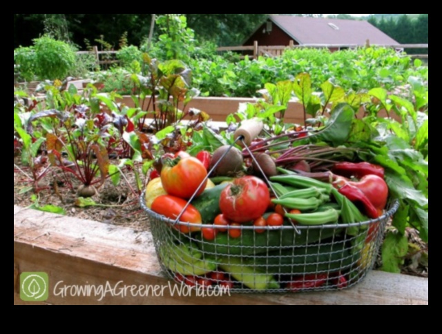 Harvesting Horticulture: Growing Gardens of Abundance