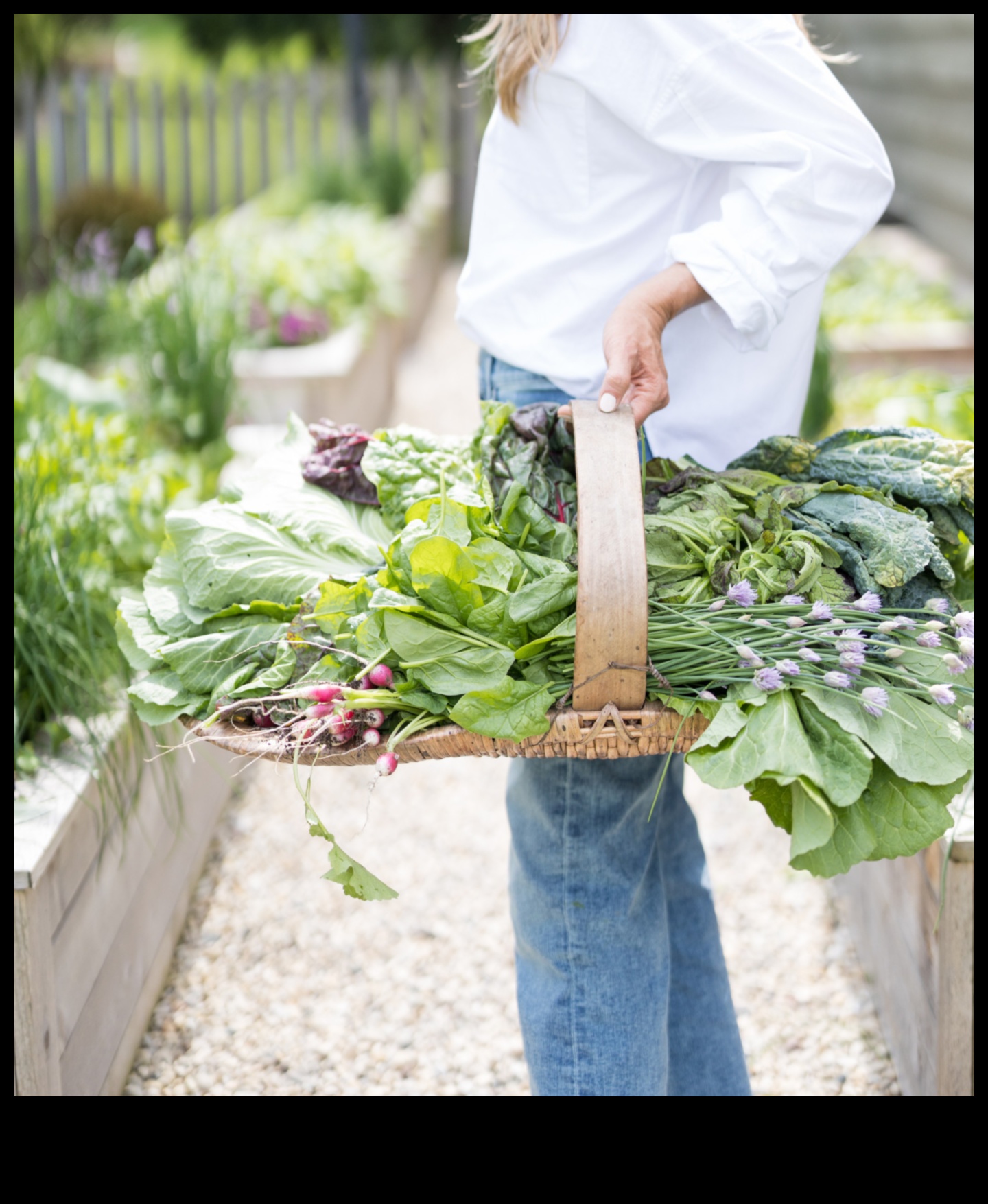 Harvesting Know-How: Practical Garden Workshops
