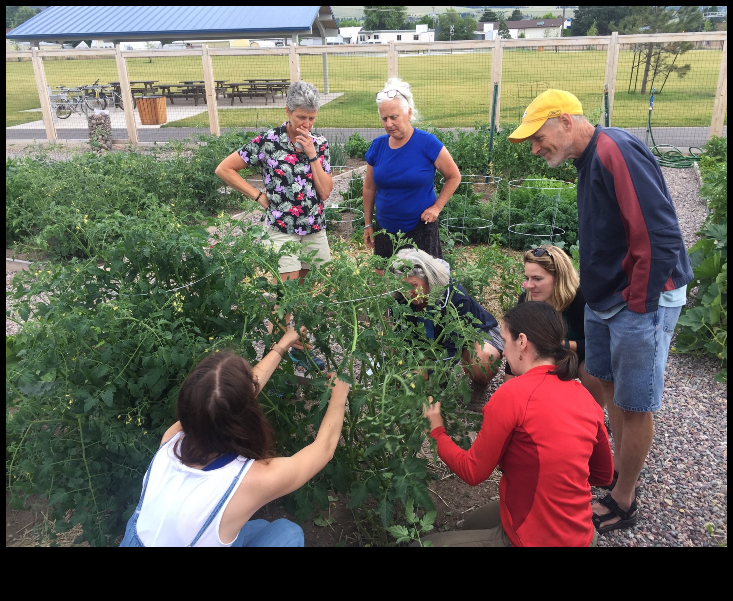 Harvesting Knowledge: Join the Movement of Garden Workshops