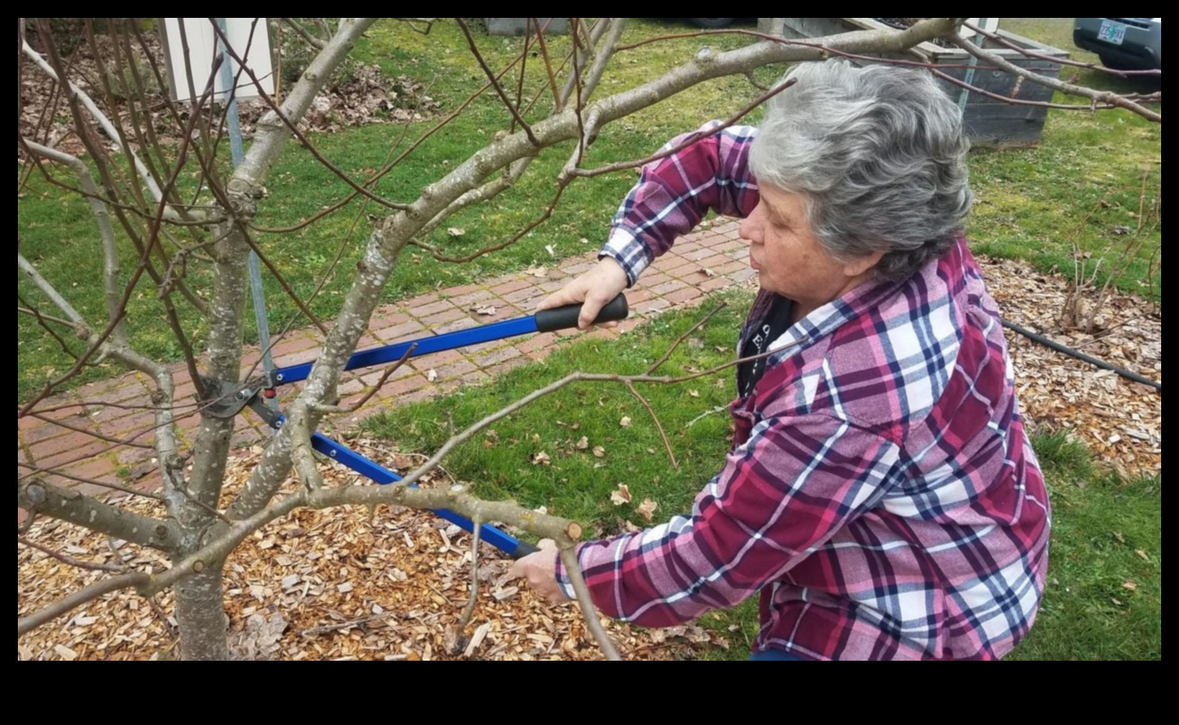 Harvesting Knowledge: Join the Movement of Garden Workshops