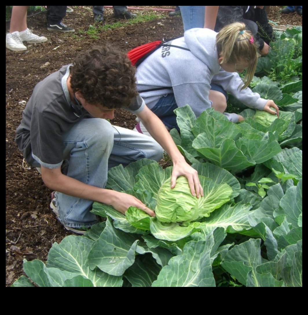 Harvesting Knowledge: Join the Movement of Garden Workshops