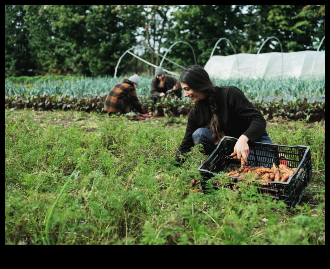 Harvesting Knowledge: Join the Movement of Garden Workshops