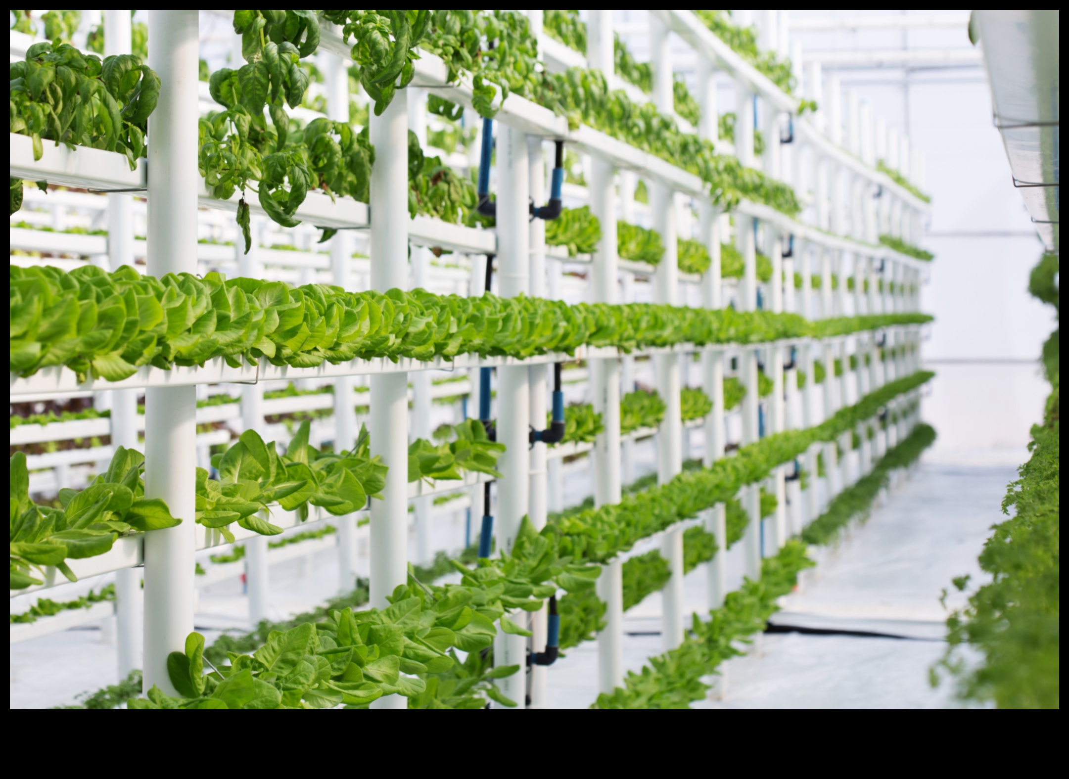 Heightened Elegance: Vertical Gardening Perfection