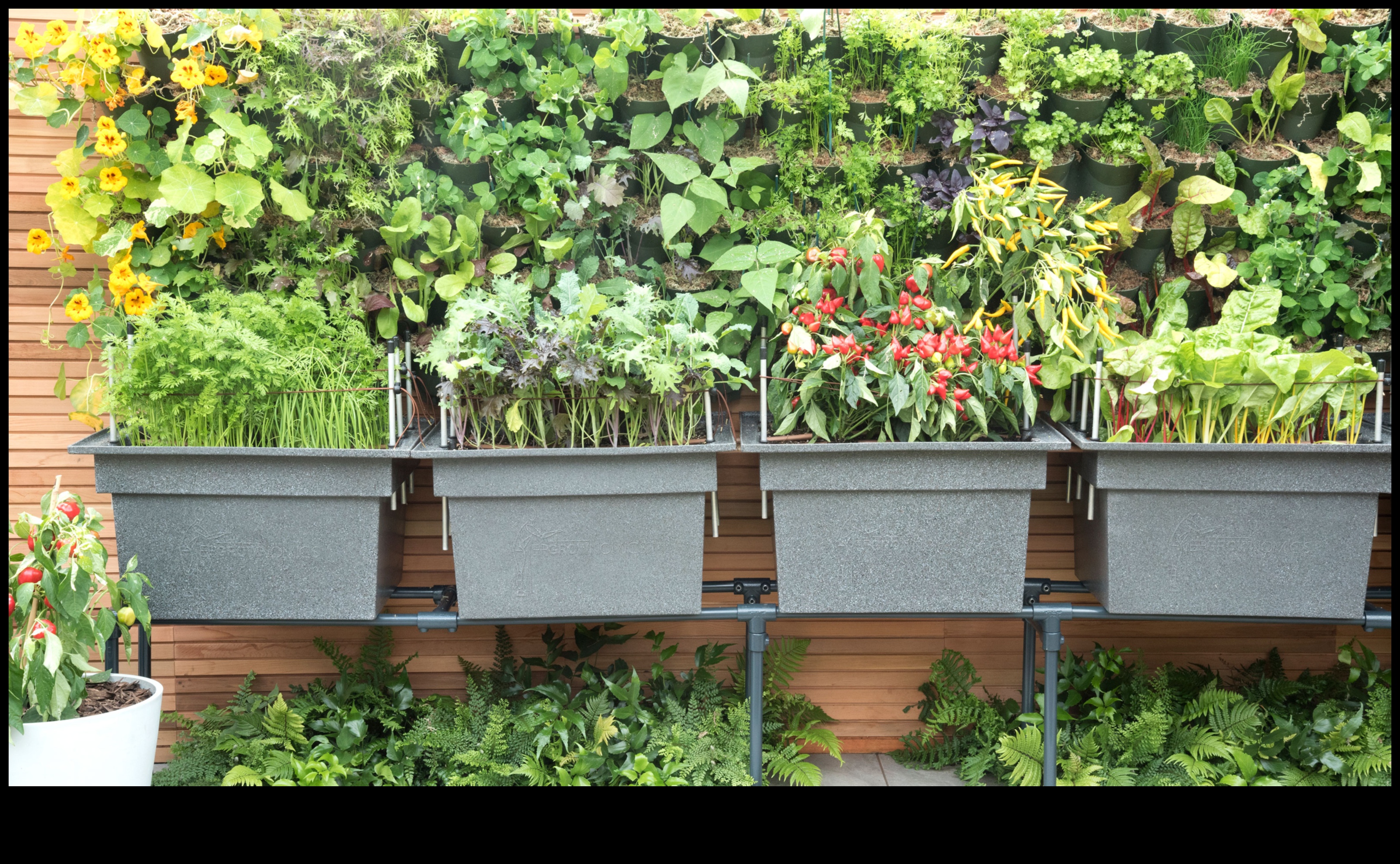 Heights of Greenery: Vertical Gardening Brilliance