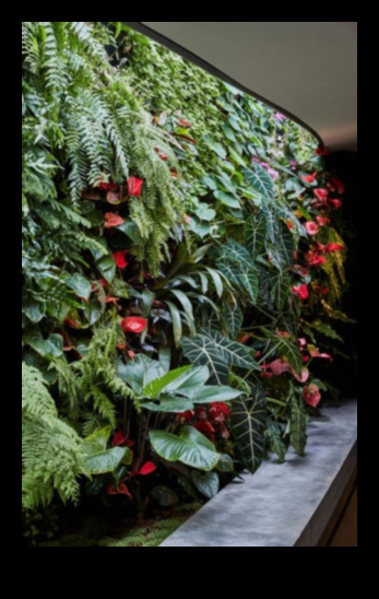 Heights of Greenery: Vertical Gardening Brilliance