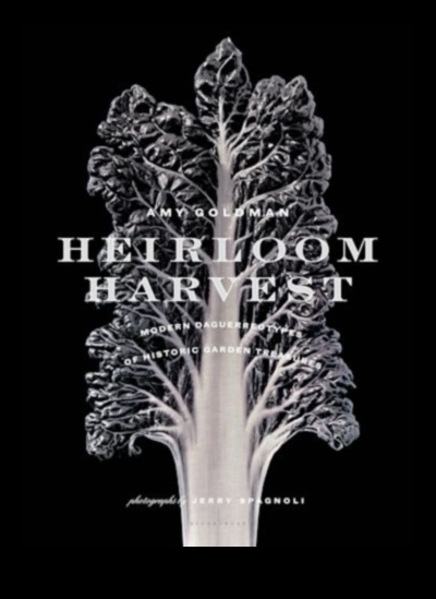 Heirloom Harvests A Timeless Tradition in Organic Gardening 1