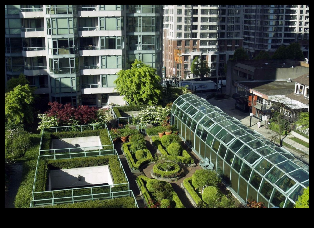 High-Rise Haven: Urban Gardening Delights Above the City