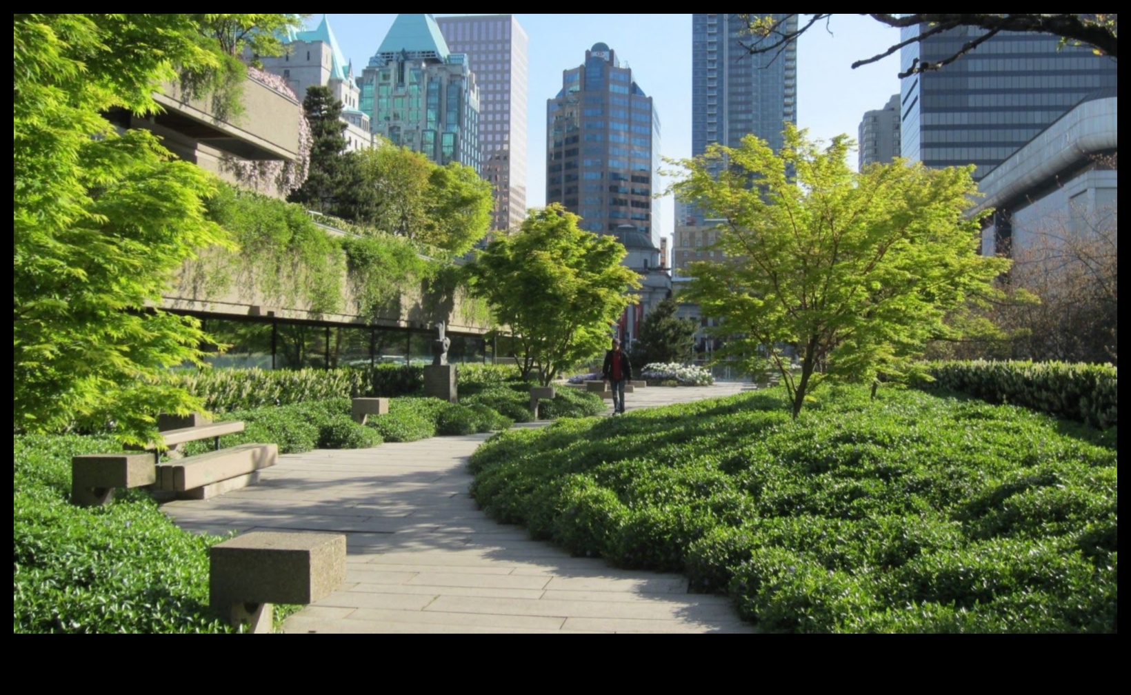 High-Rise Horticulture: Urban Gardening Delights Above the City