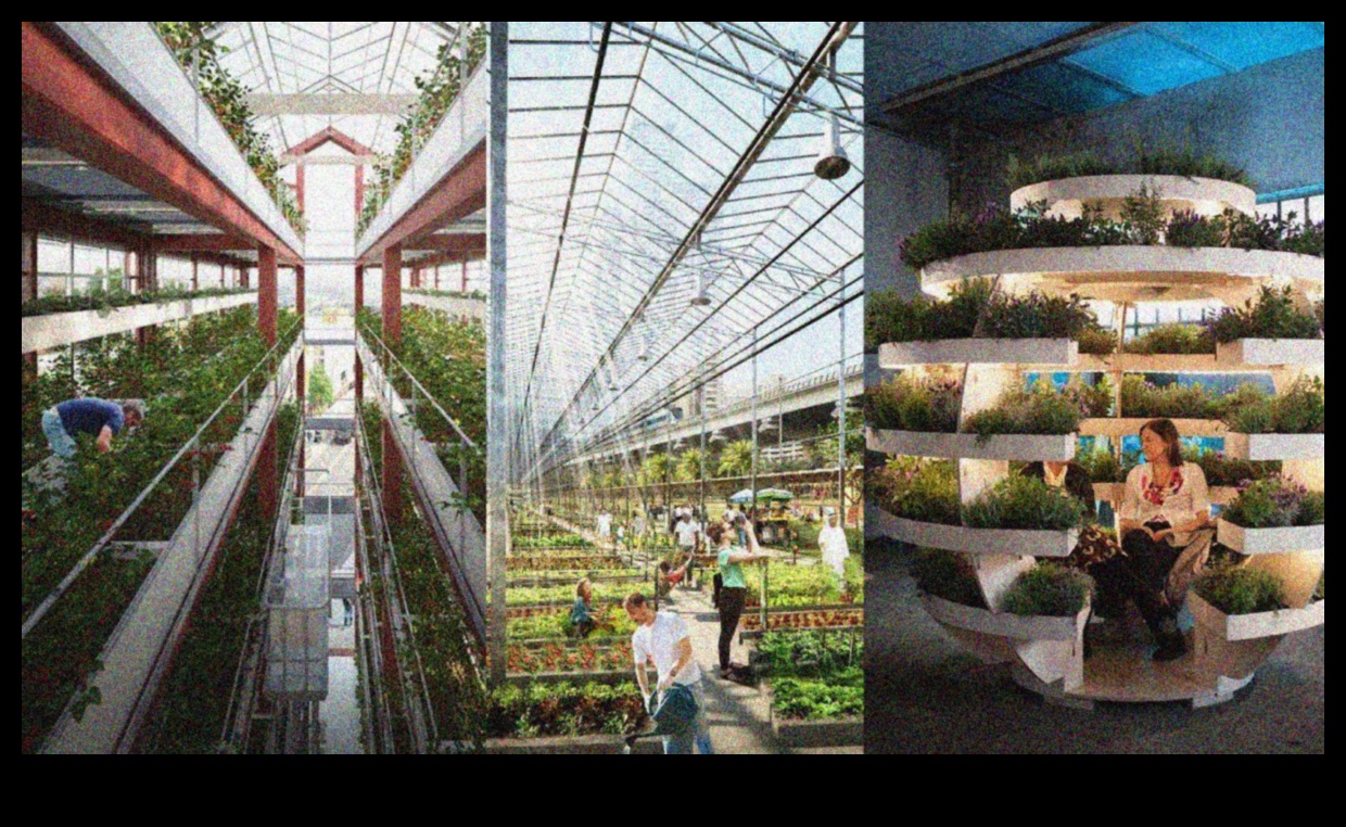 High-Rise Horticulture: Urban Gardening Delights Above the City