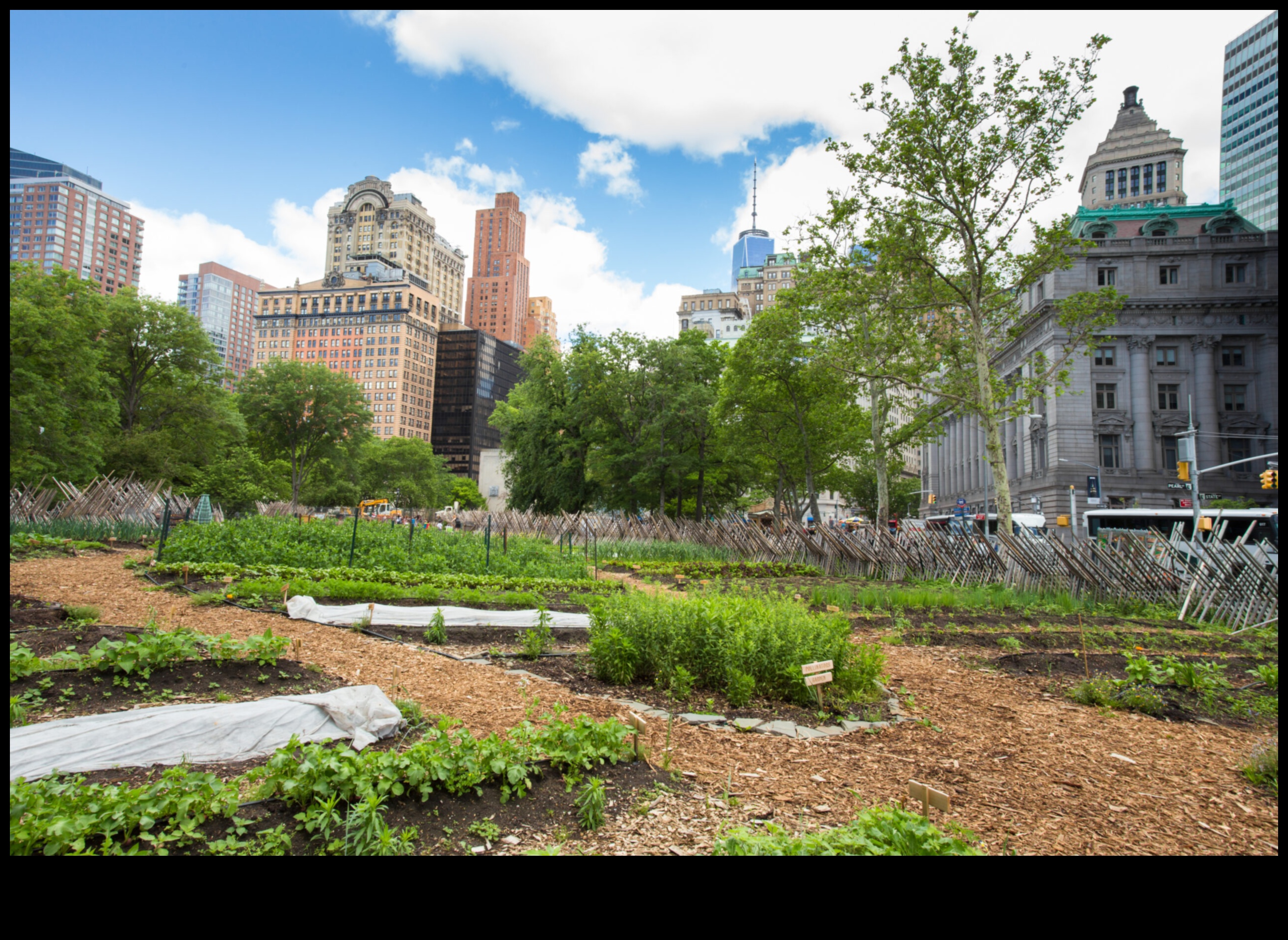 High-Rise Horticulture: Urban Gardening Delights Above the City