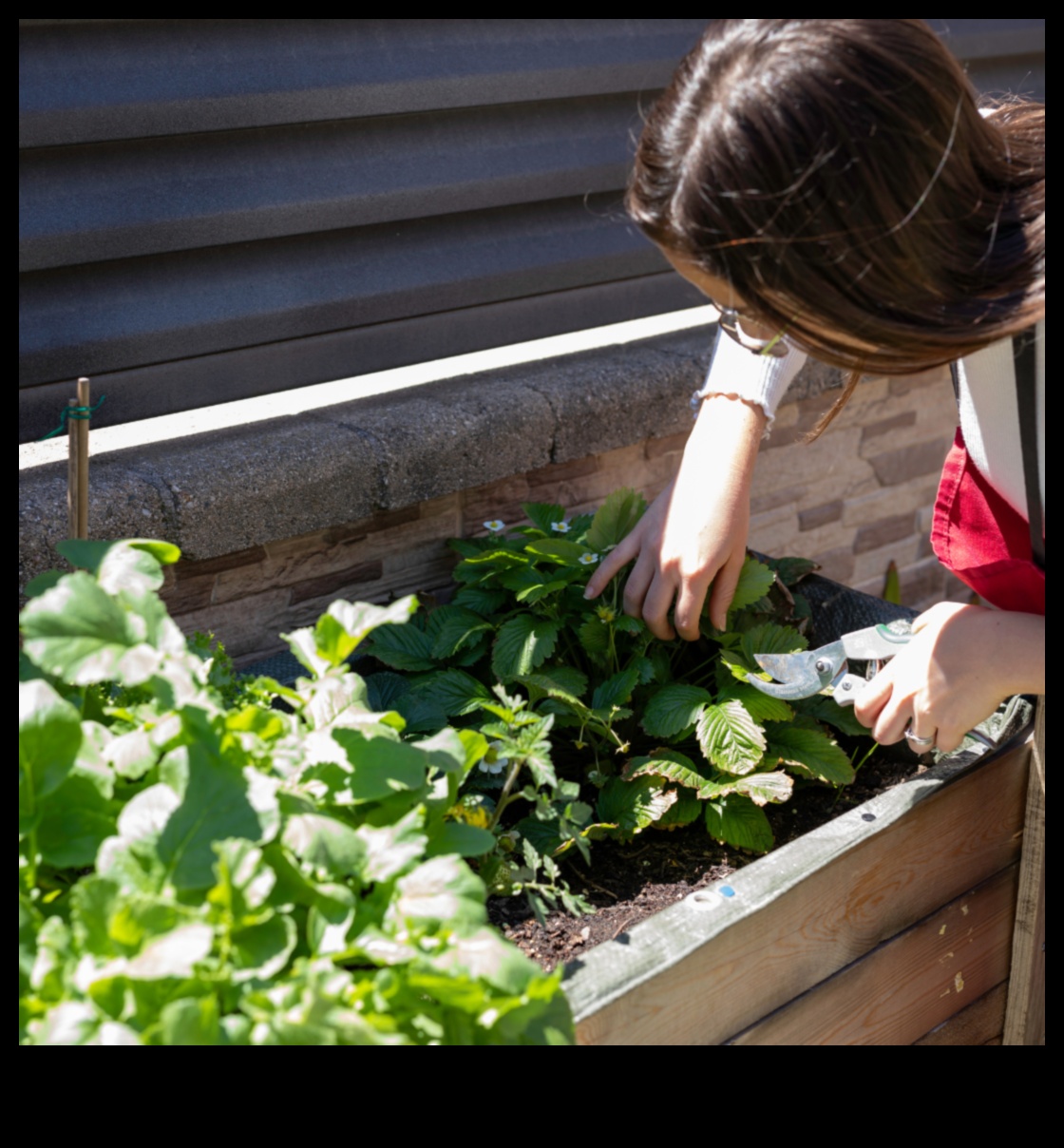 Horticultural Horizons: Exploring Garden Education Depths