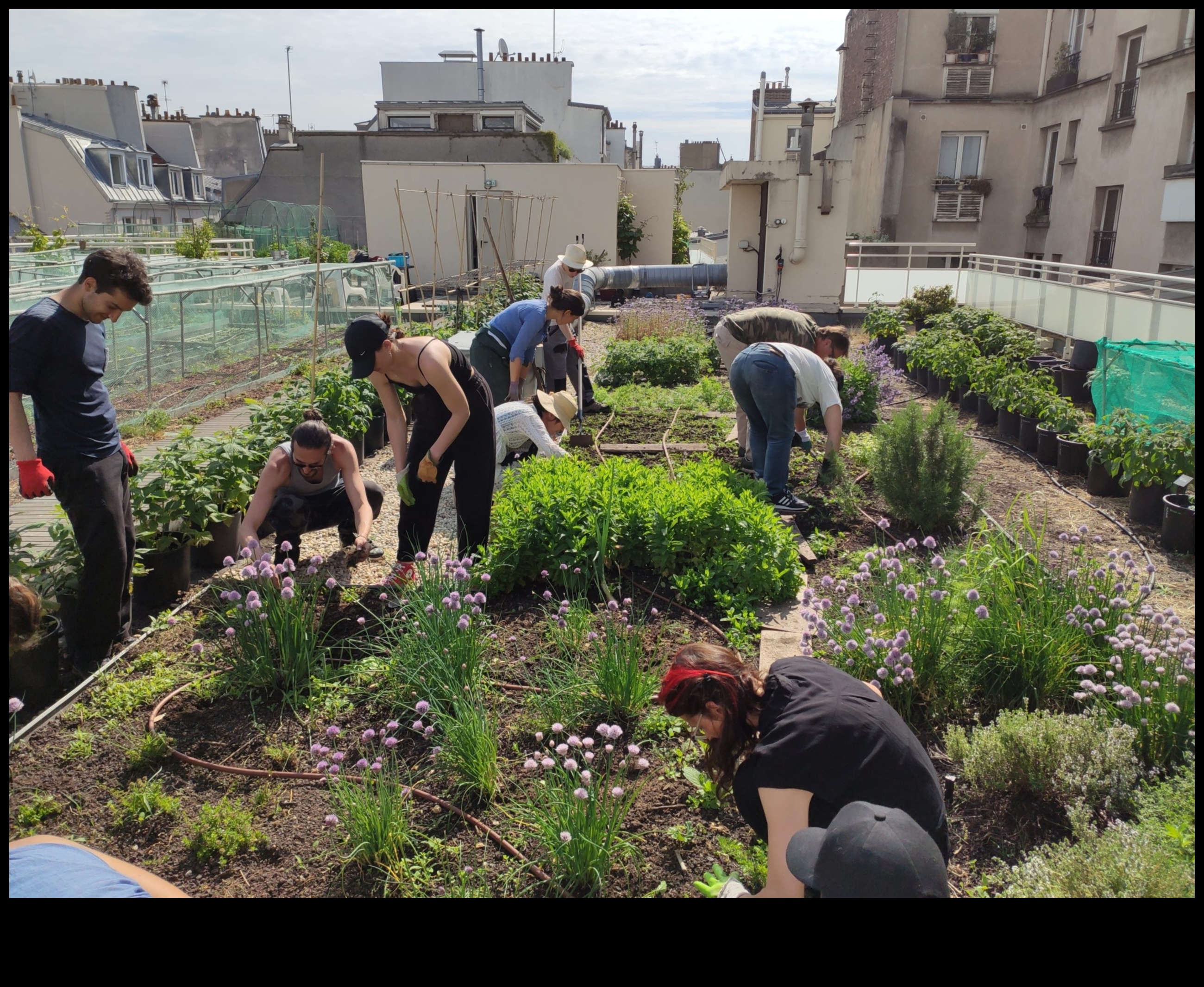 Horticultural Horizons: Exploring Garden Education Depths