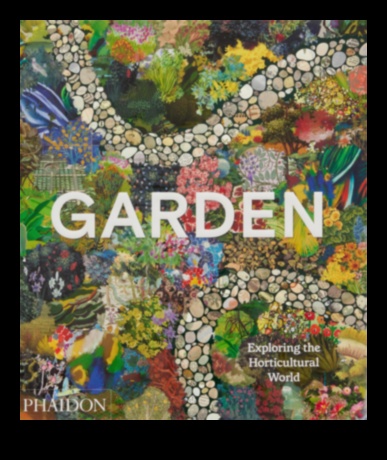 Horticultural Horizons A Journey of Self-Discovery Through the Garden 1