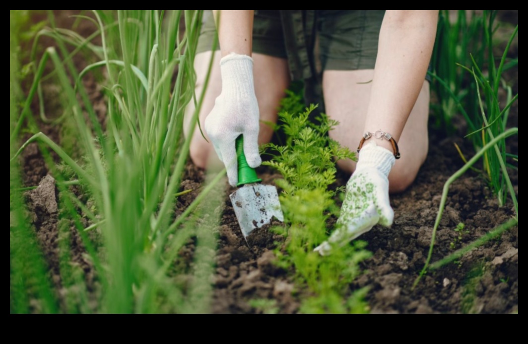 Horticulture Harmony: Cultivating Green Beauty