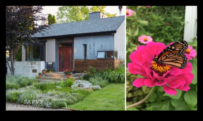 Horticulture Haven: Crafting Gardens of Serenity