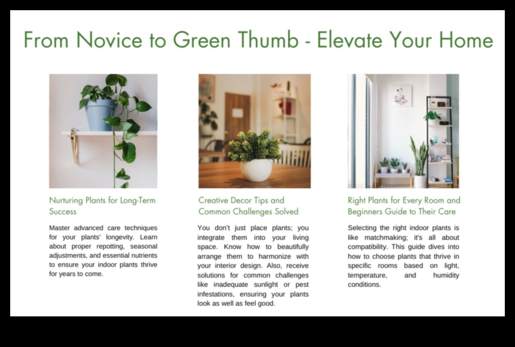 Houseplant Harmony: Indoor Gardening for Serenity