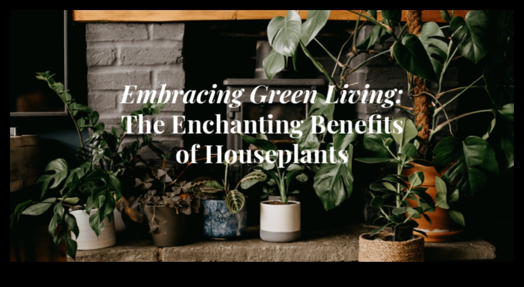 Houseplant Harmony: Indoor Gardening for Serenity