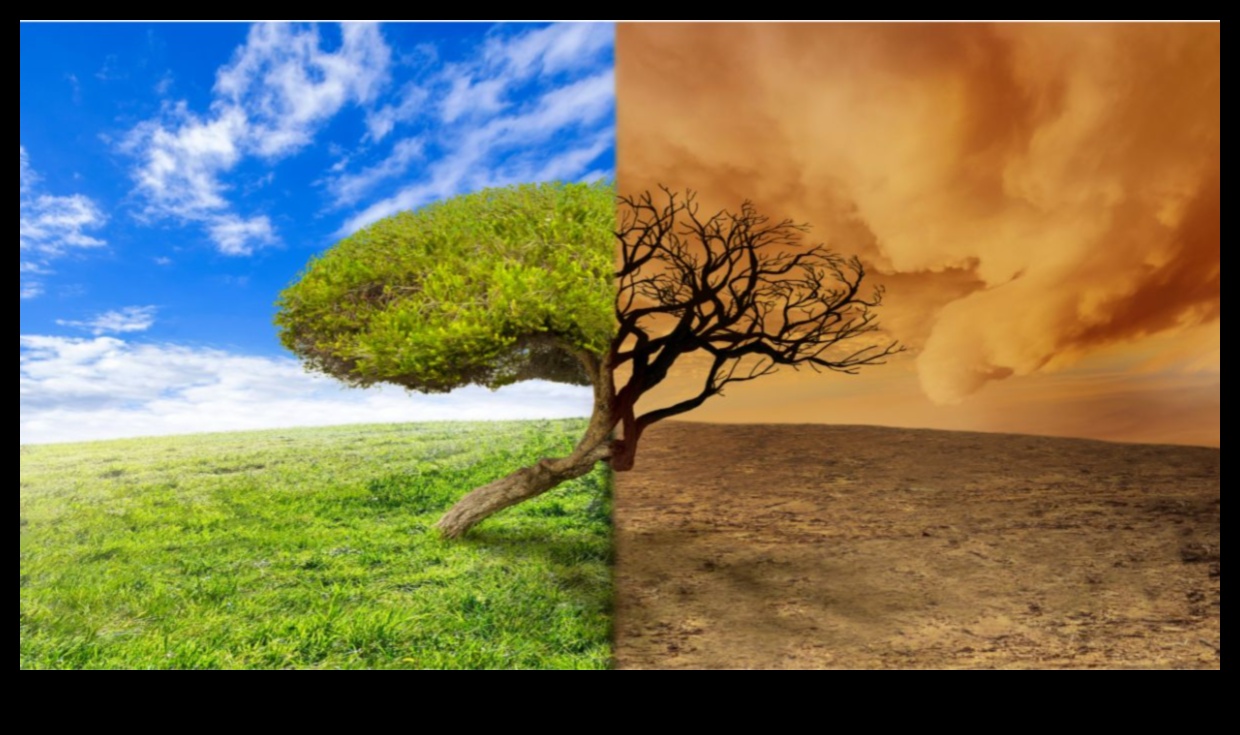 How do climate change and global warming affect landscapes?