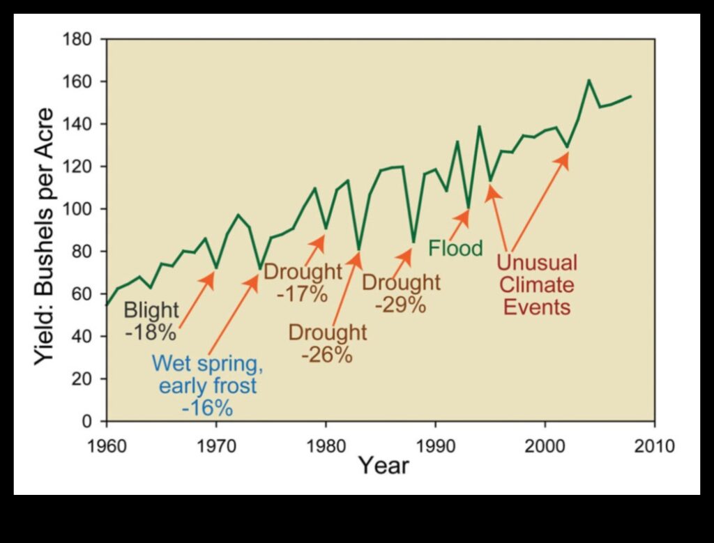 How Weather Affects Crop Yields 1
