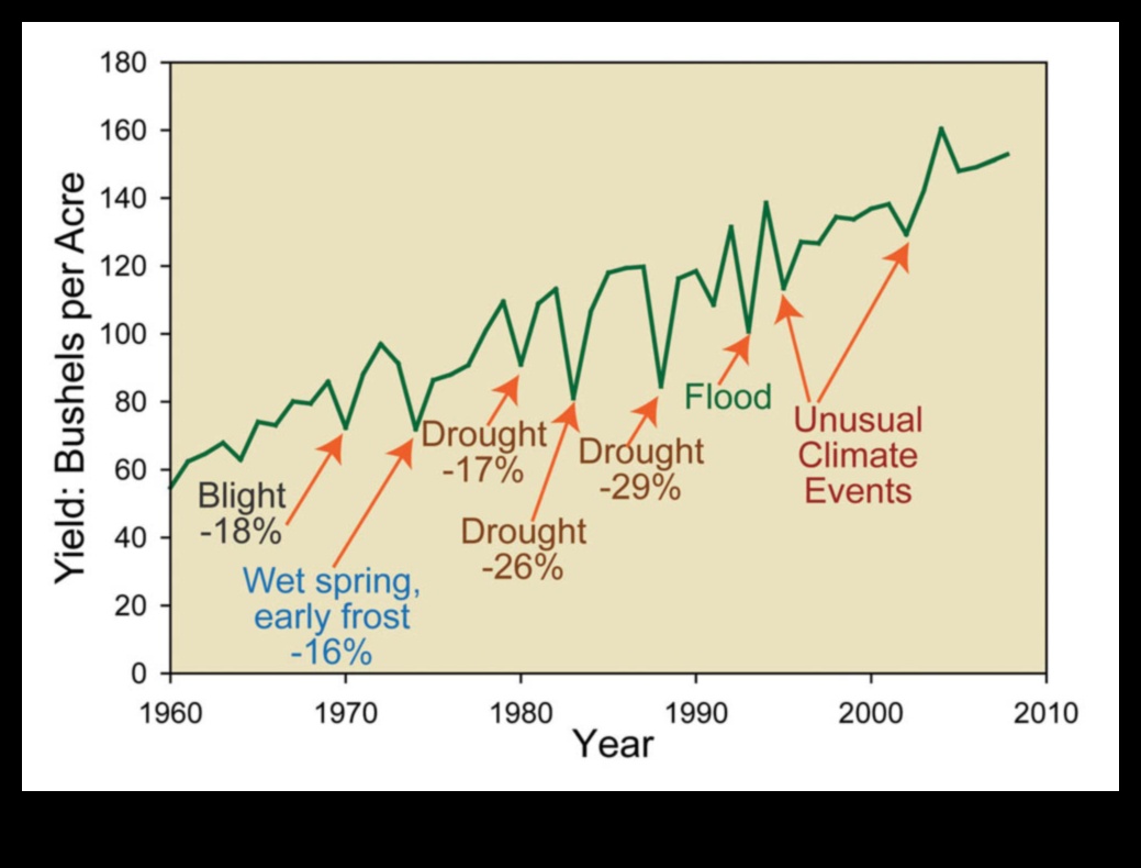 How Weather Affects Crop Yields 1 How do different weather patterns impact the agricultural productivity of landscapes?