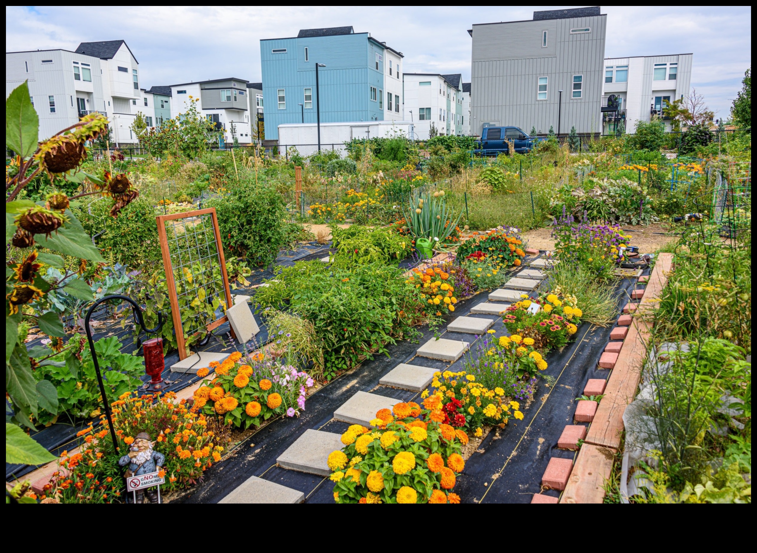 Urban Green Revolution: Gardening Tips for the City