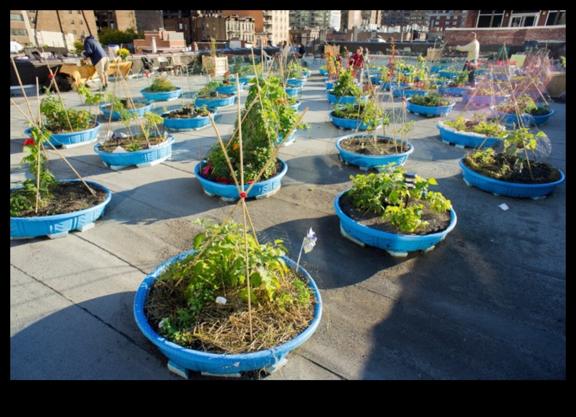 Urban Green Revolution: Gardening Tips for the City