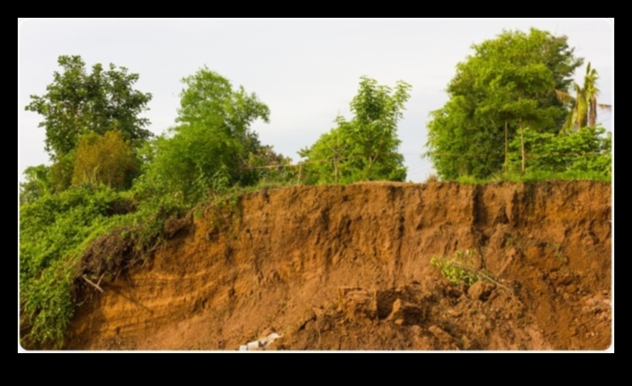 Humans A Major Cause of Soil Erosion 2 Why are certain landscapes more prone to soil erosion due to human activities?