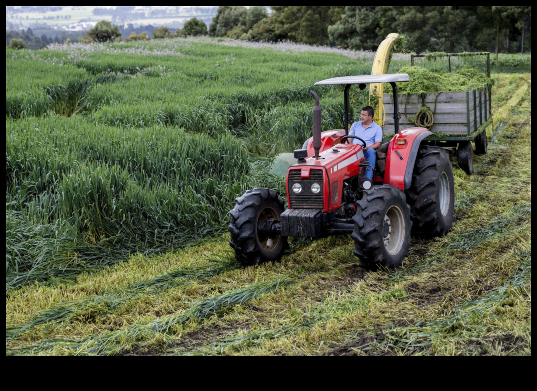 Humans and the Changing Landscape 2 How do human activities contribute to the transformation of landscapes?