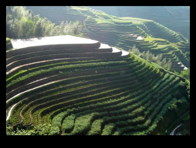 Humans and the Changing Landscape 4 How do human activities contribute to the transformation of landscapes?