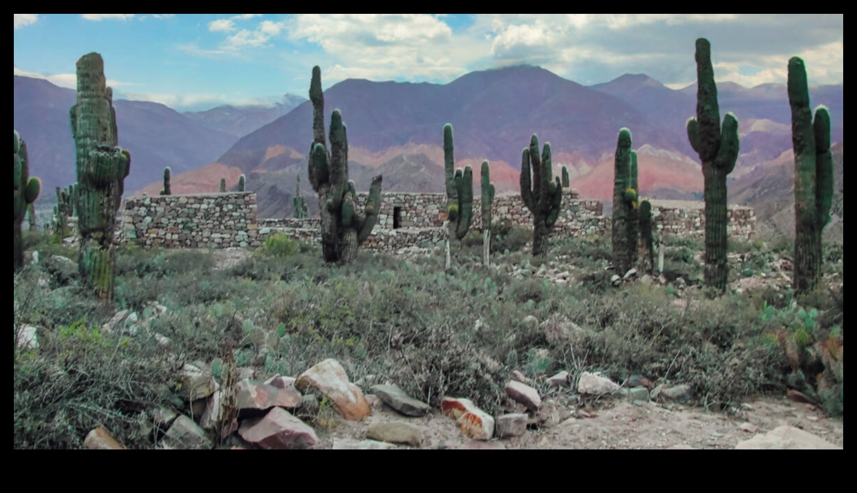Indigenous Landscapes A Living Heritage 1 What role do indigenous communities play in preserving traditional landscapes?