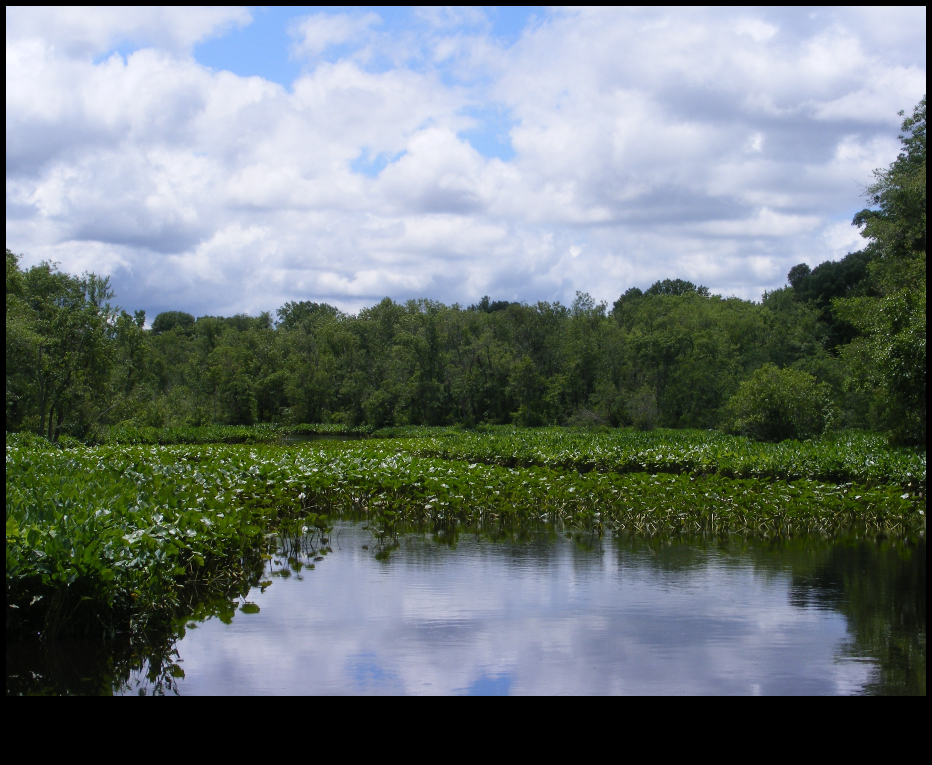 Indigenous Perspectives on Tribal Landscapes 4 Indigenous Perspectives: Exploring Tribal Landscapes
