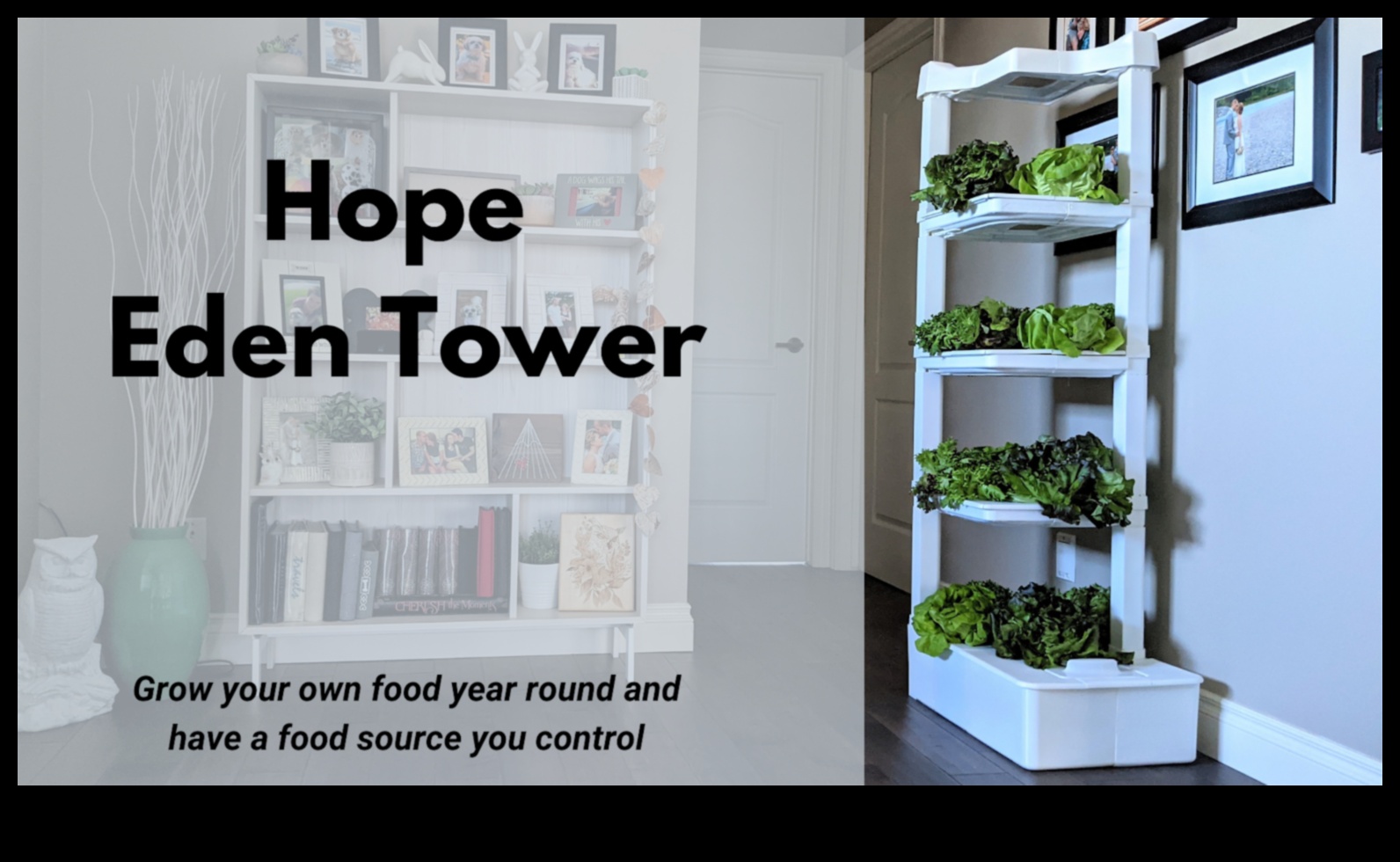 Indoor Eden: Growing Your Garden Beyond the Outdoors