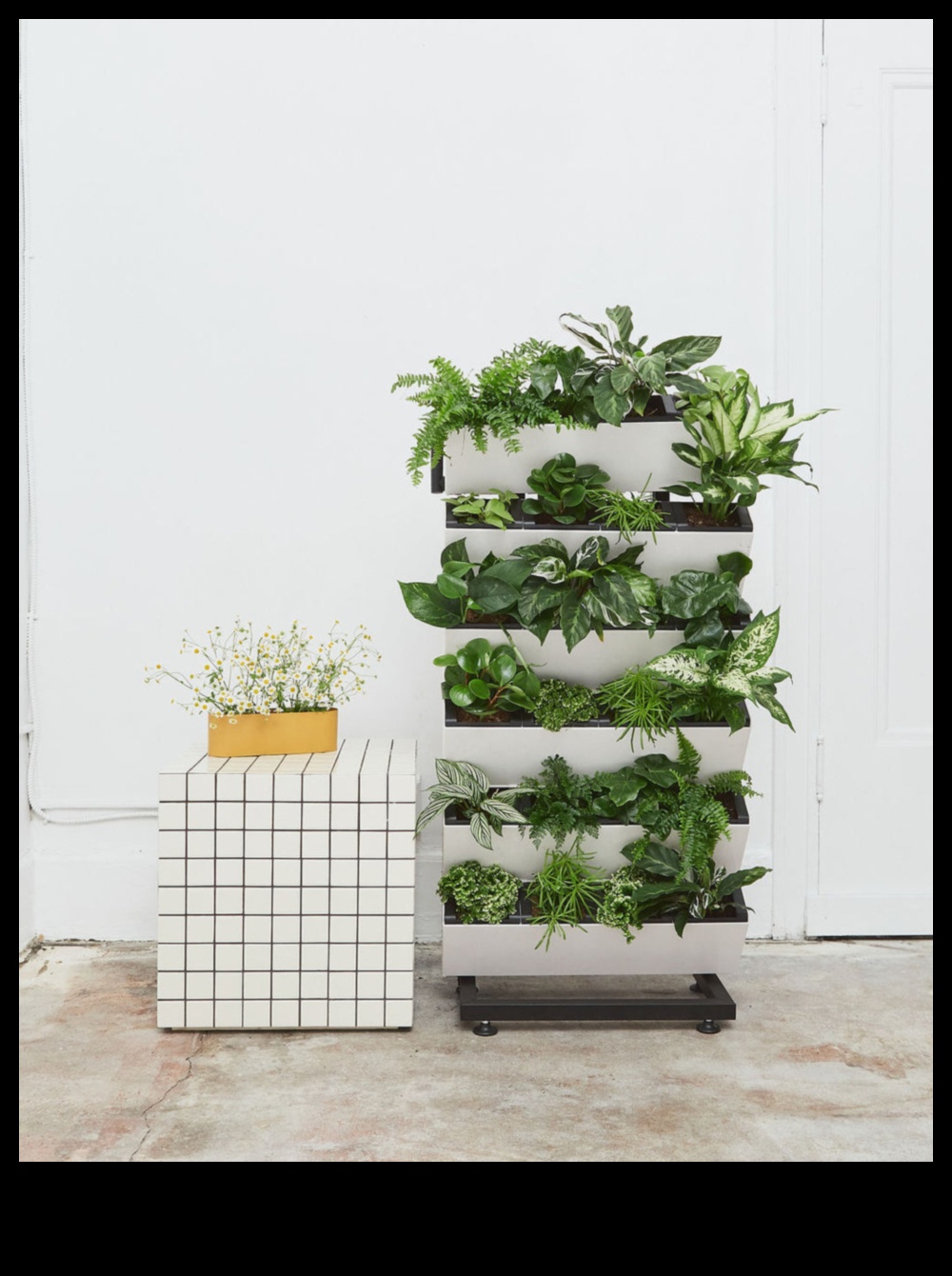 Indoor Eden: Growing Your Garden Beyond the Exterior Walls