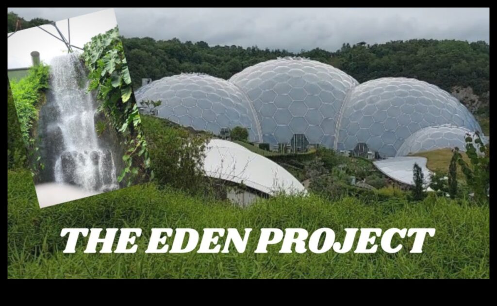 Indoor Eden Unveiling Our Greenhouse Wonders for a Better Tomorrow 1