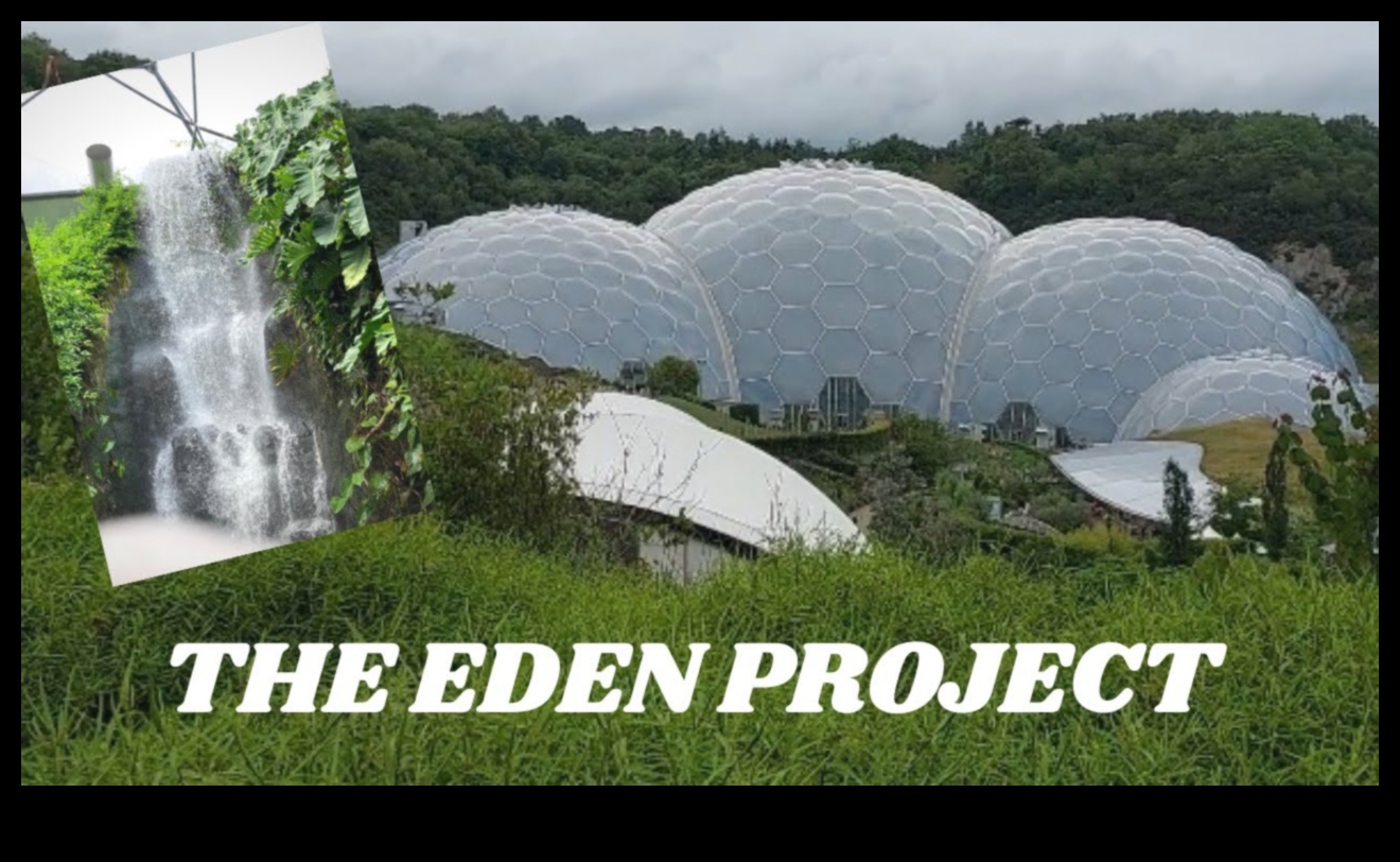 Indoor Eden: Unveiling Our Greenhouse Wonders