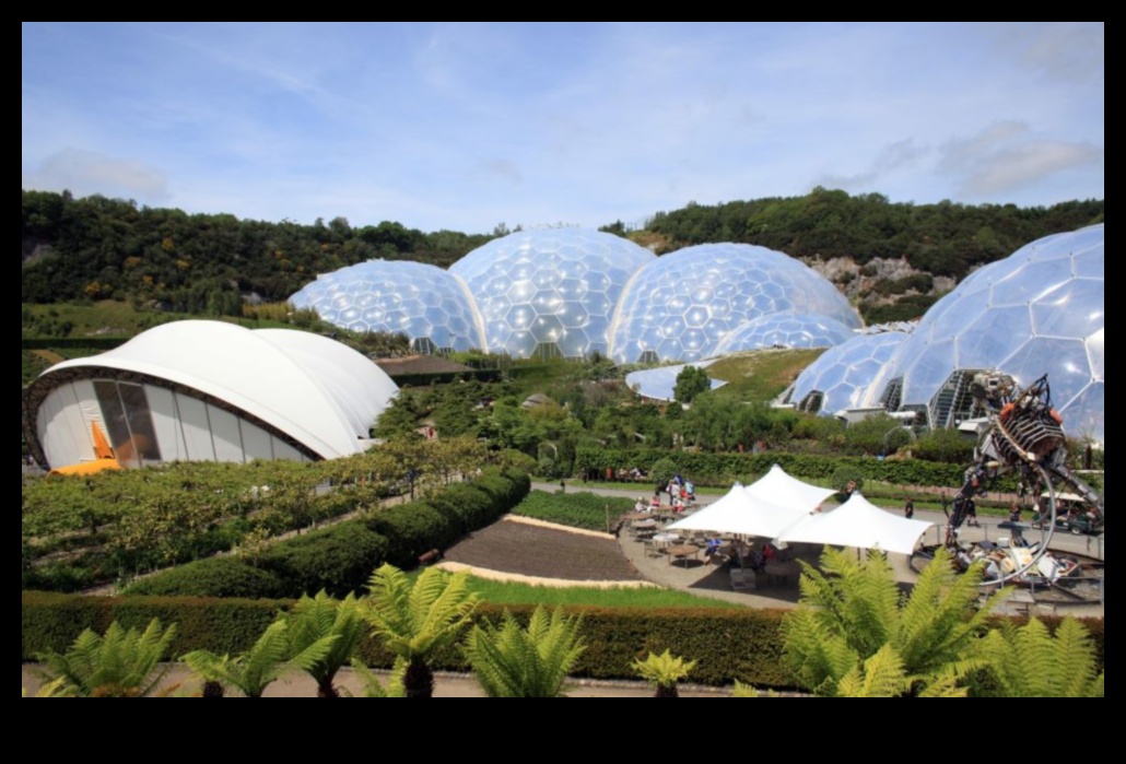 Indoor Eden: Unveiling Our Greenhouse Wonders