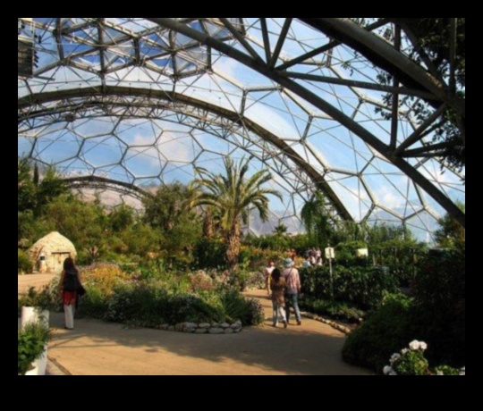 Indoor Eden: Unveiling Our Greenhouse Wonders