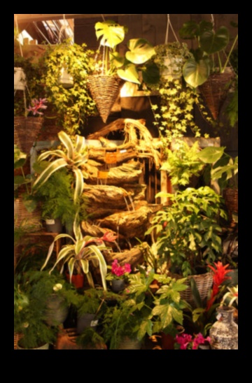 Indoor Jungle Dreams: Designing Lush Green Spaces Indoors