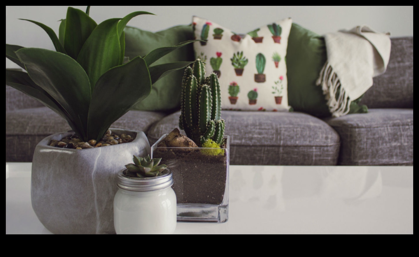 Indoor Oasis: Crafting Green Spaces Within Your Home