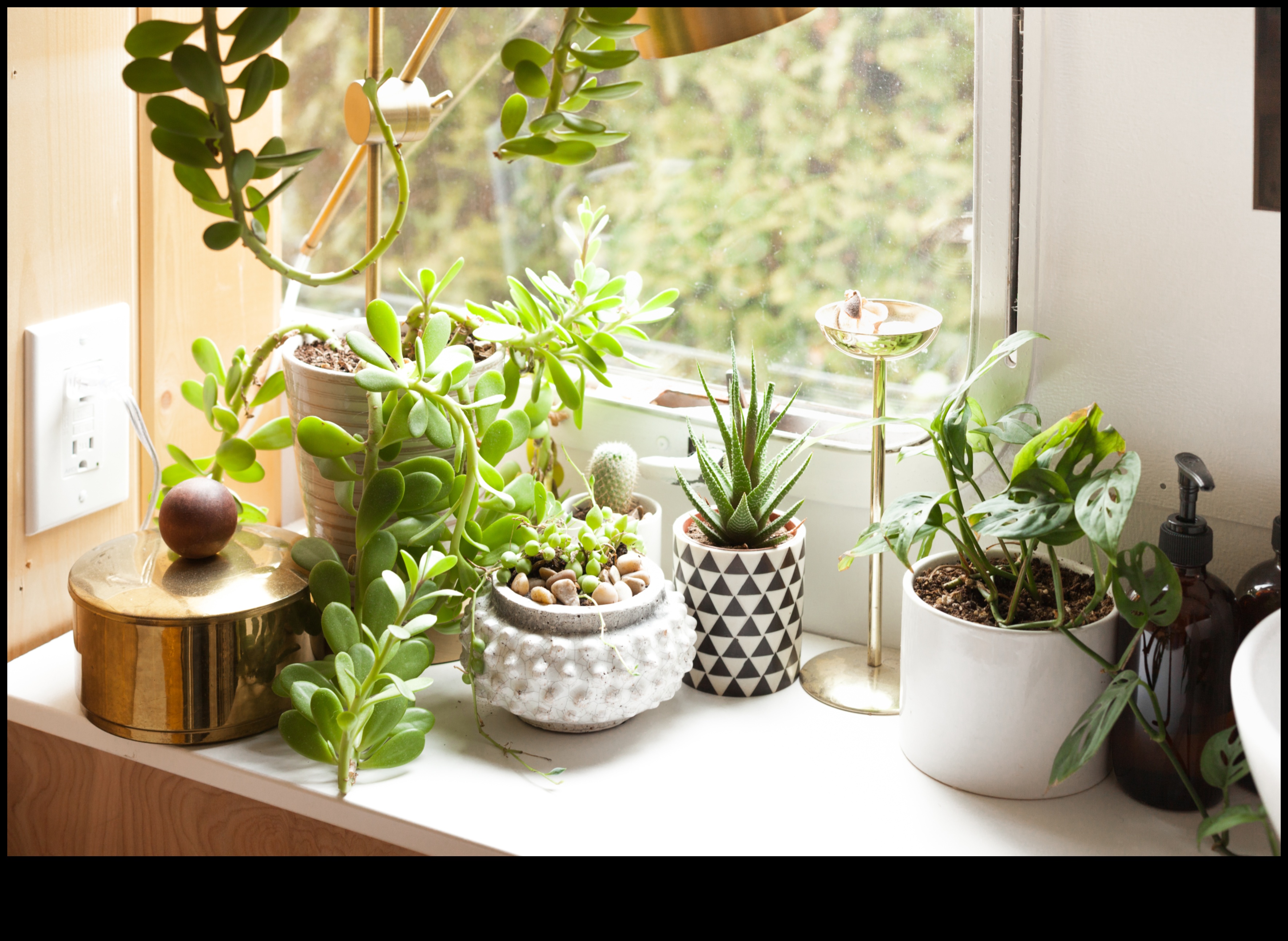 Indoor Oasis How to Bring the Garden Inside 4 Indoor Oasis: Transforming Your Home with Gardening